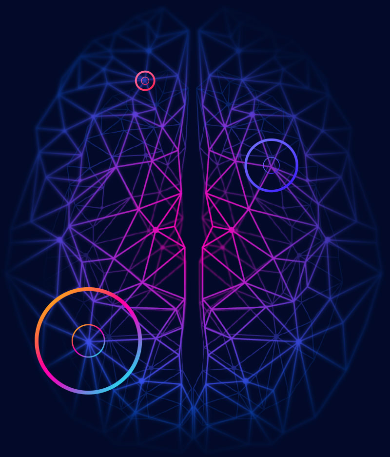 Image of brain scan simulation.